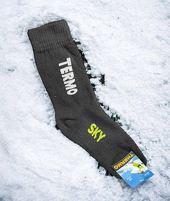 Термошкарпетки TERMO socks чоловічі