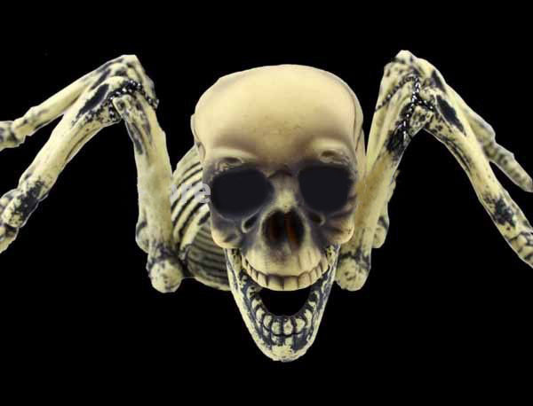 Паук подвесной с человеческим черепом - украшение на хеллоуин! - фото 7 - id-p351662083