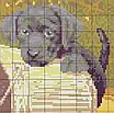 Набір для вишивання за нанесеною на канву схемою "Three dogs (4) " .  AIDA 14CT printed, 56*33 см, фото 4
