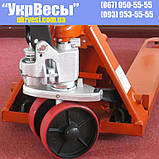 Ваги рокла Axis 4BDU2000P-ВШ/680 Бюджет, фото 4