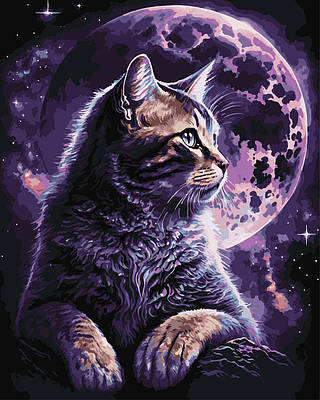 Картина за номерами 40×50 см Kontur. Космічний кіт-2 DS0543