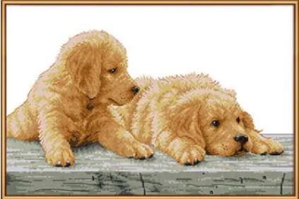 Набір для вишивання за нанесеною на канву схемою "Two brothers" . AIDA 14CT printed, 44*30 см