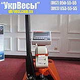 Весы-рокла с принтером этикеток 4BDU1000P-В-П, фото 2