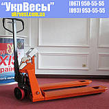 Весы-рокла с принтером этикеток 4BDU1000P-В-П, фото 4