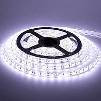 Led лента 12В белая smd5050 60LED/m IP65, 1м