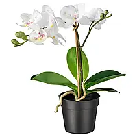 ФЕЙКА Искусственное растение в горшке, Орхидея белая, 9 см