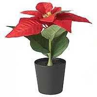 ВИНТЕРФИНТ Искусственное растение в горшке, для комнатного и уличного использования Пуансеттия/красный, 6 см
