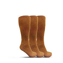 Шкарпетки антимікробні USOA | Coyote (три пари), фото 6