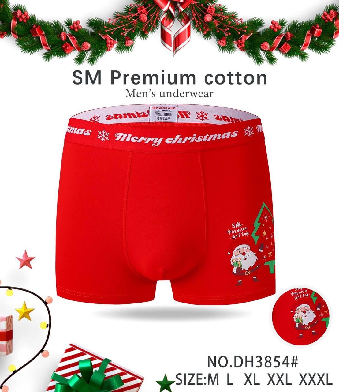 Труси чоловічі SM Premium cotton DN3854
