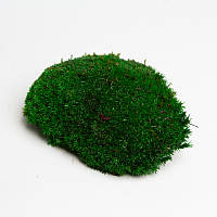 Стабілізований мох Green Ecco Moss кочка червона 1 кг