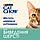 Пуріна Cat Chow Hairball сухий корм для котів, контроль утворення грудок шерсті в шлунку, курка 15КГ, фото 4