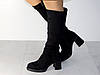 Сапожки зимові жіночі замшеві стильні чорні, фото 5