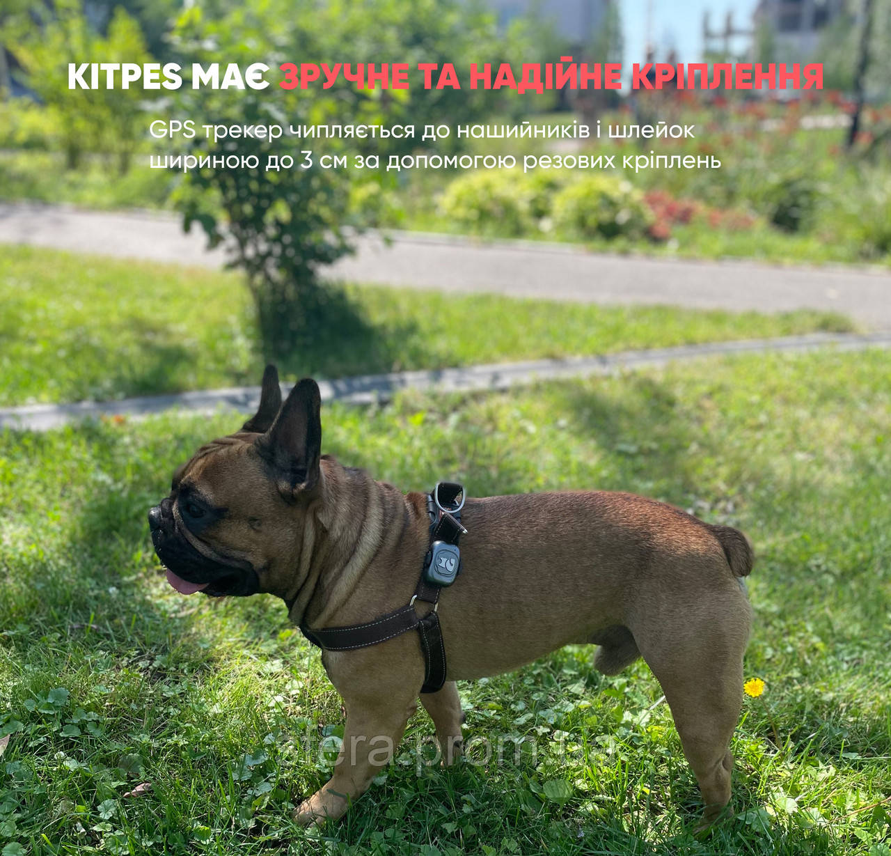 GPS нашийник для собак, котів та тварин (трекер нашийник) KitPes 2 (ID ...