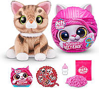 Набор-сюрприз Pets alive Smitten Kittens Игривые котята Полосатый кот Джинджер 9541B