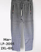 Мужские утепленные спортивные брюки оптом, 2XL-6XL рр., Арт. Mar-LP-2095