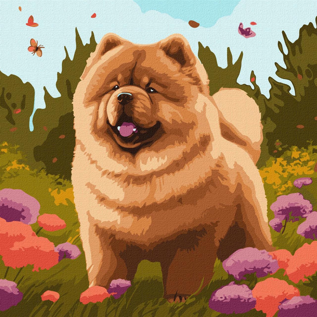 Картина за номерами KHO6548 Чарівний чау-чау ©art_selena_ua, 40*40см. Ideyka