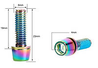 Болты для тормозов велосипеда PRO M6x18 мм OilSilk (2 штуки), цветные