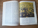 Книга Берегиня Василь Скуратівський  Б/у, фото 2