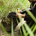 Сумка для вейдерсів Vass Wader Bag Camouflage, фото 9