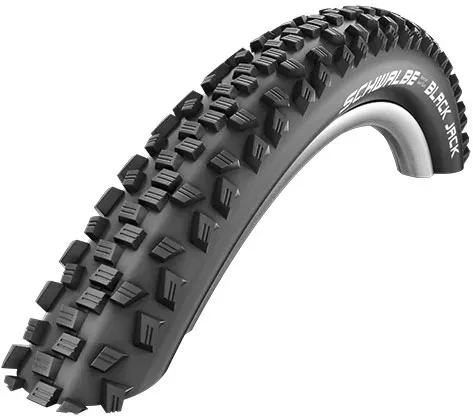 Покришка на велосипед 16x1.90 Schwalbe BLACK JACK (47-305) 50TPI 360g, фото 1