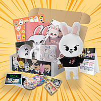 Подарунковий бокс K-pop Stray Kids SKZOO Leebit 17 предметів (Випадкові зображення)