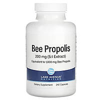 LAN, экстракт прополиса (240 капс. х 1000 мг), прополіс, bee propolis