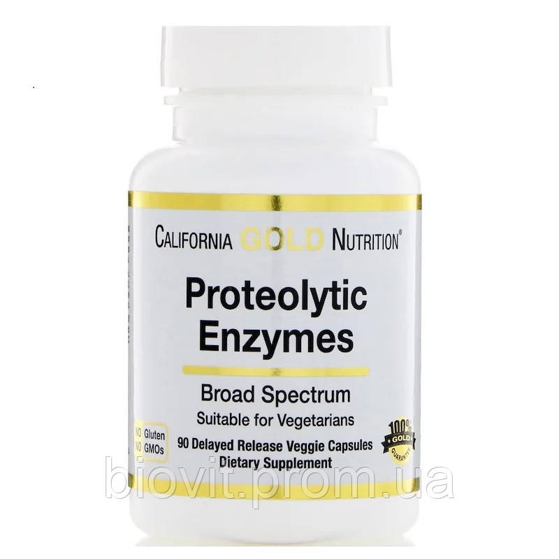 Протеолітичні ферменти (Proteolytic Enzymes)