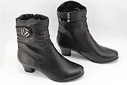 Жіночі черевики Battine B658 шкіряні на низькому підборі 37, фото 2