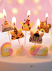 СВІЧІ В ТОРТ 5ШТ, CАФАРІ