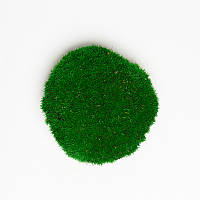 Стабілізований мох Green Ecco Moss купи Натурально-зелена - NATURAL GREEN - 4 кг