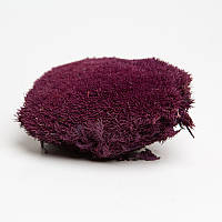 Стабілізований мох Green Ecco Moss купина Пурпурна - PURPLE - 0,5 кг