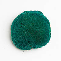 Стабілізований мох Green Ecco Moss купина Бірюзова - TURQUOISE - 0,5 кг