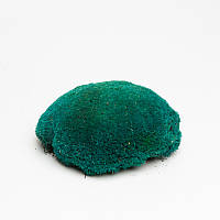Стабілізований мох Green Ecco Moss купина Бірюзова - TURQUOISE - 4 кг
