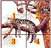Набір для вишивання за нанесеною на канву схемою "A lazy cat".  AIDA 14CT printed, 36*36 см, фото 4