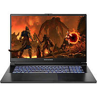 Ноутбук Dream Machines 17.3" RG4060-17/Intel i5-13500H/32GB/1TBSSD/GF 4060-8/DOS/Black (RG4060-17UA21)