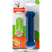 Жевательная игрушка кость для собак до 11 кг Nylabone Moderate Chew Dental Bone S вкус курицы (81279)