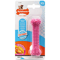 Жевательная игрушка кость для щенков Nylabone Puppy Chew Dental Bone XS розовый вкус курицы (83238)