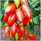 Томат Королівський пінгвін 0.15 г Gl Seeds, фото 2