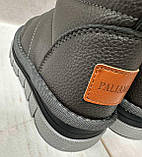 Зимові дитячі Ugg Paliament уггі екошкіра 29 18.5 см сірі, фото 6