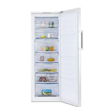 Морозильна камера Beko RFNE 290L21 W