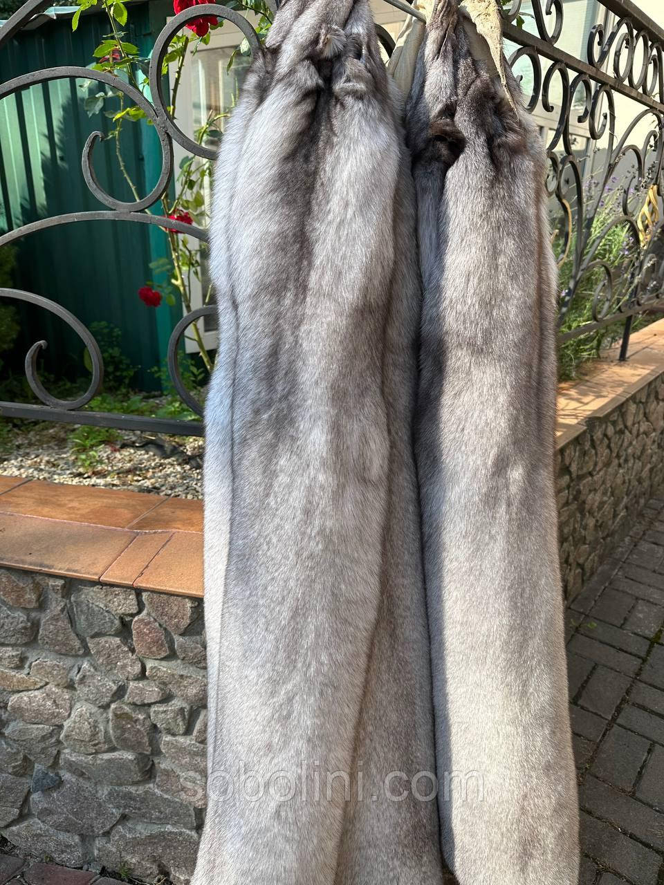 Аукціоне хутро лисиці в наявності, фото 1