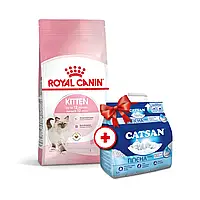 Сухой корм для котят Royal Canin Kitten 4 кг - домашняя птица + Catsan 5 л