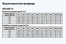 Батарея акумуляторна GEL200-12 ”ARUNA”, фото 6