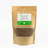 Сочевиця червона, насіння, фото 4