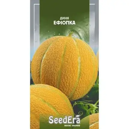 Насіння дині Ефіопка, 2 г — середньоранній сорт, солодка, SeedEra, фото 1