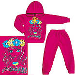 Толстовка і штани Пес Патрон начос 3-х нитка 04.17.00, фото 7