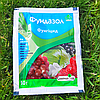 Фунгіцид Фундазол 10 г Сімейний сад, фото 3