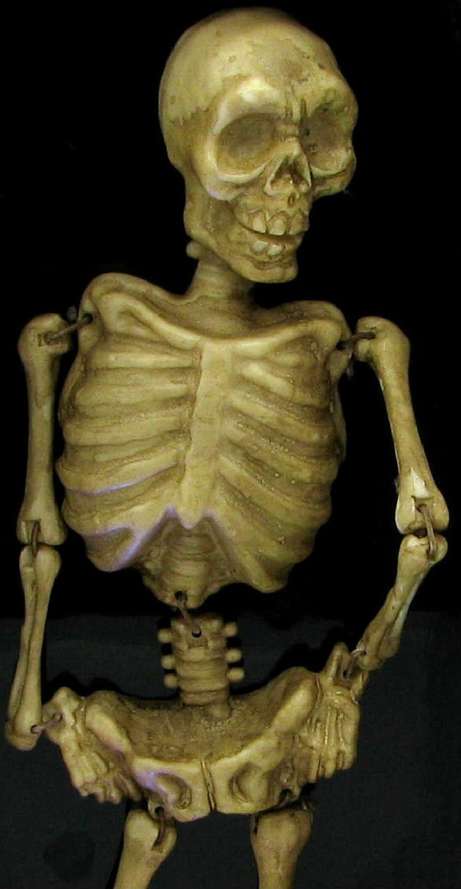 Скелет в гробу(музыкальный,весело танцующий) - фото 2 - id-p352099211
