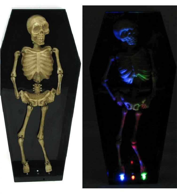 Скелет в гробу(музыкальный,весело танцующий) - фото 7 - id-p352099211