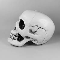 Реалістичний пластиковий череп, декор на хеллоуїн 10 см
